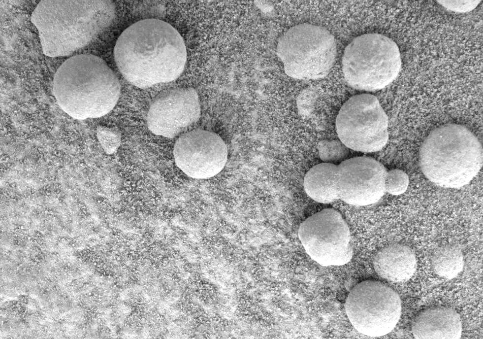 'Blueberry' Triplets Born in Rock on Mars